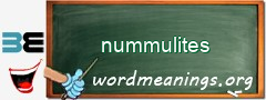 WordMeaning blackboard for nummulites